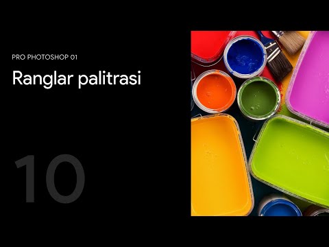 10 — Ranglar palitrasi