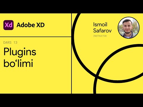 13 — Plugins bo‘limi