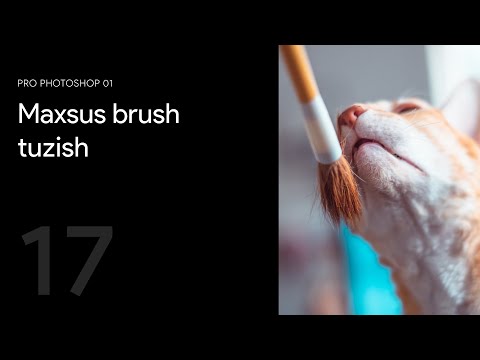 17 — Maxsus brush tuzish