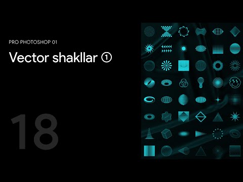 18 — Vector shakllar (1)