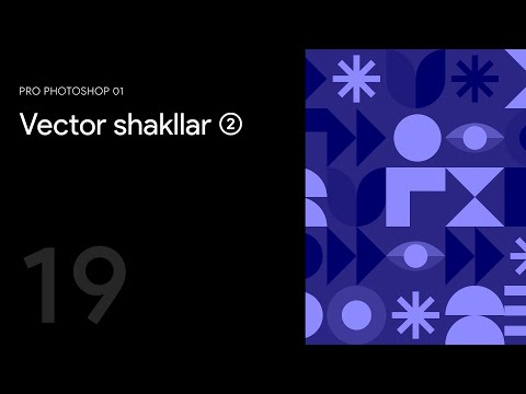 19 — Vector shakllar (2)