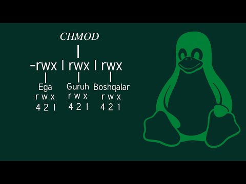 #20 chmod va fayl huquqlari