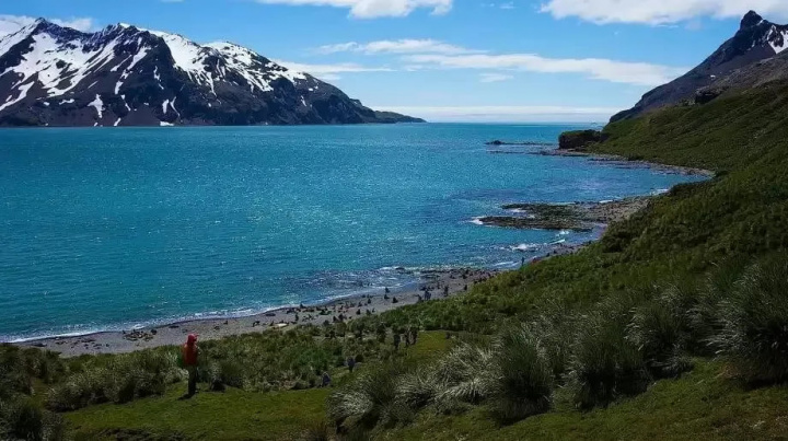 Argentina Britaniyani Folklend orollari bo‘yicha muzokaralarni qayta tiklashga chaqirdi