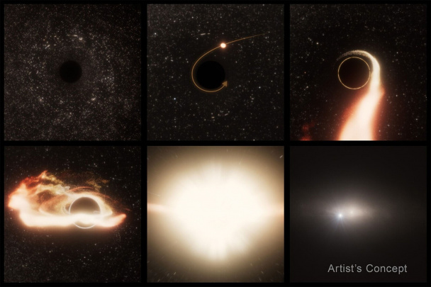 Astronomlar yulduzlarni parchalovchi «daydi» qora tuynukni kashf etdi