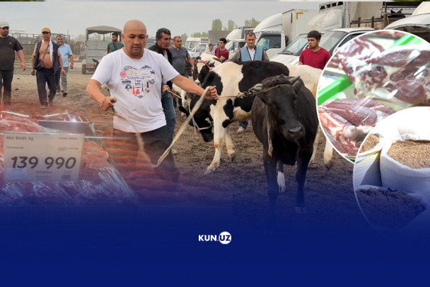 Bozor – go‘sht narxi haqida: “Yem-hashak qimmat, mol boqish oson bo‘lmay qoldi”