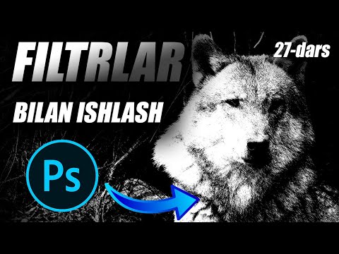 Filtr menyusi va filtrlarning umumiy xossalari