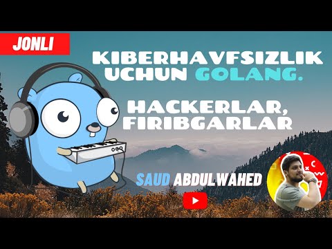 Kiberhavfsizlik uchun Golang. Hackerlar,Firibgarlar Jonli Suhbat.