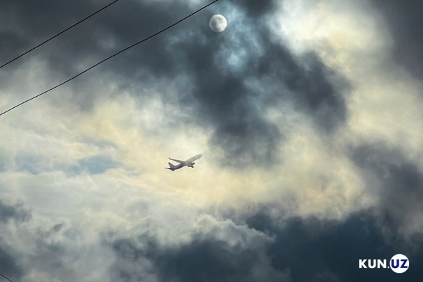 Mahalliy aviareyslarda chiptalar oxirgi uch oyda 1,7 barobarga qimmatladi