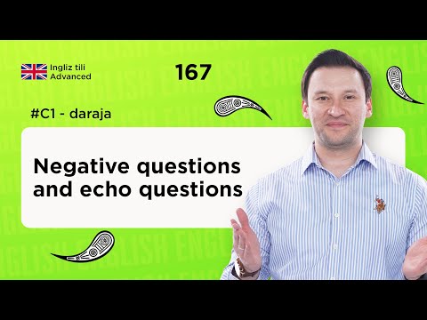 Negative questions and echo questions