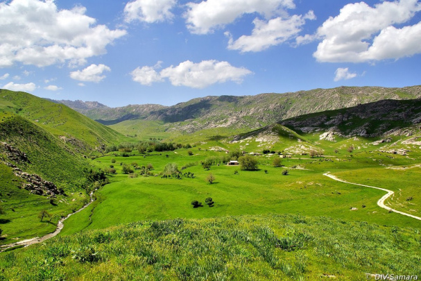 O‘zbekistondagi o‘rmon va yaylov yerlarining bir qismi oziq-ovqat mahsulotlari yetishtirish uchun beriladi