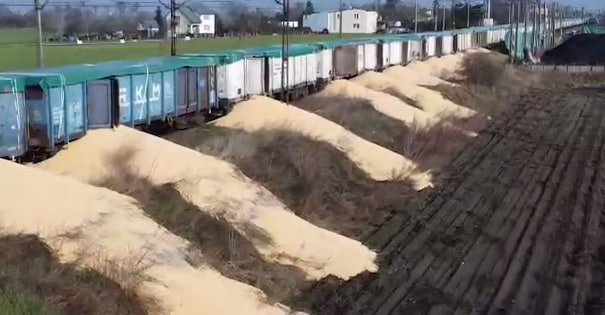 Polshada «noma’lum jinoyatchilar» 8 ta vagonning eshiklarini ochib, Ukrainadan eksport qilinayotgan makkajo‘xori donlarini yerga to‘kib yuborgan.