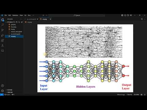 Pytorch 4 dars NN pytorch yordamida