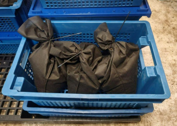 Rossiya BAAga salkam 400 kg chuvalchang jo‘natdi
