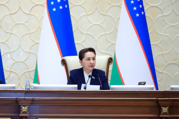 “Senator so‘rov yubormaguncha pul olib yurilgan” - Tanzila Norboyeva import avtolarga ekosertifikat haqida