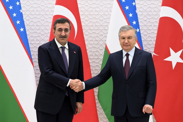 Shavkat Mirziyoyev Turkiya vitse-prezidenti bilan uchrashdi