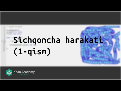Sichqoncha harakati (1-qism)