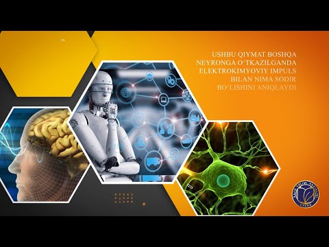 Sun'iy intellekt. 5-dars. Evolyutsion intellekt
