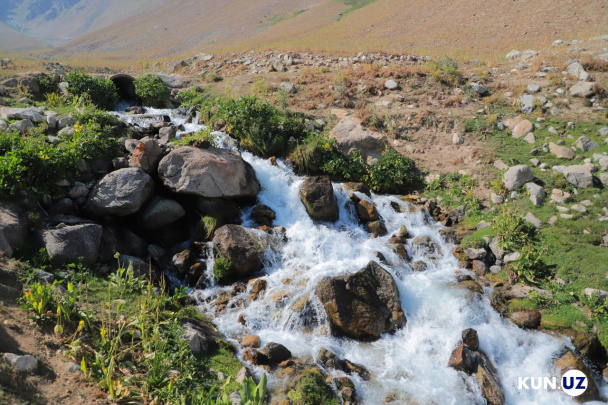 Tog‘li va cho‘l hududlarda turizm subsidiyalar bilan qo‘llab-quvvatlanadi