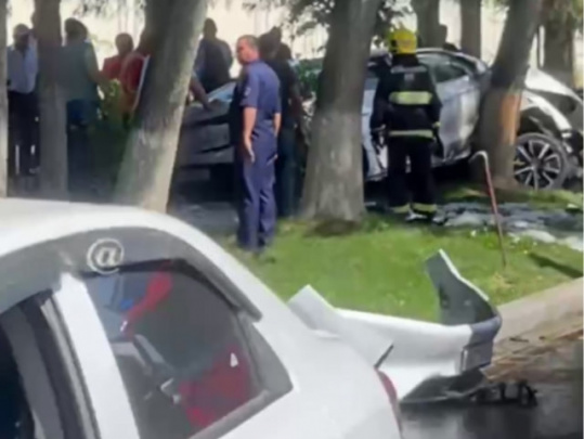 Toshkentda daraxtga urilgan BYD yonib ketdi 