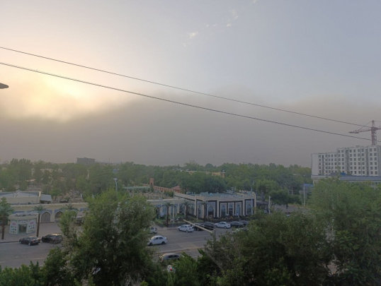 Toshkentda kuchli dovul kuzatildi