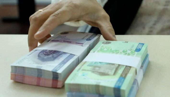 Usta dehqonlarga 100 mln so‘mgacha subsidiya ajratiladi